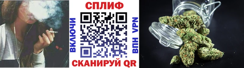 Конопля MAZAR  как найти наркотики  Ноябрьск 